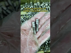 برقی گالوانیزه فیلیپس پیچ های حفره شده سوراخ شده پیچ های متر پیچ های سرب بسته بندی پیچ