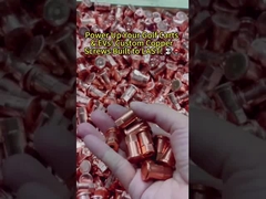 پیچ های ایستادن فولاد ضد زنگ